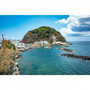 Rusticano - intero appartamento Ischia